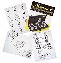 Human Reproduction and Development Text and Teaching Guide